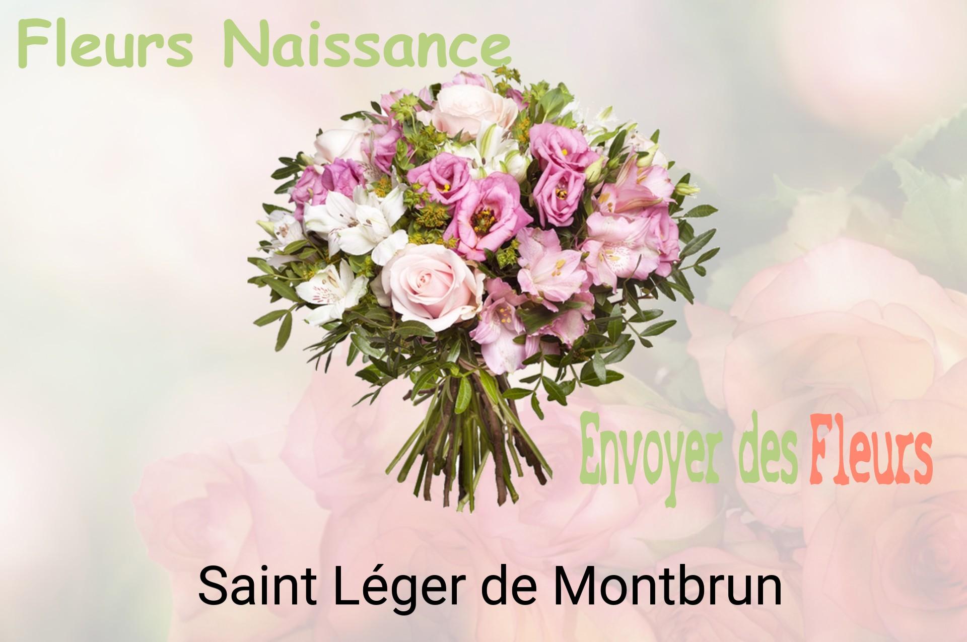 Bouquet de fleurs de naissance livré à Saint-Léger-de-Montbrun